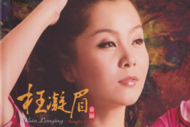 童丽《枉凝眉》2022头版限量编号24K金碟[WAV+CUE/城通]