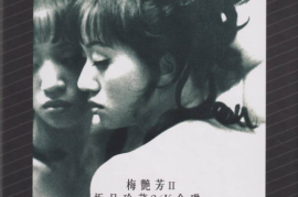 梅艳芳《极品珍藏II（限量编号24K金碟）》[WAV+CUE/城通]