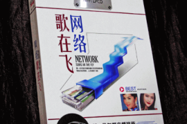 《网络歌在飞》 2CD[WAV/分轨/DTS/城通]