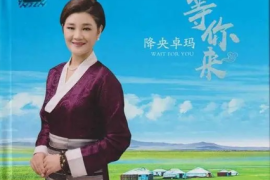 降央卓玛《等你来  DSD黑胶》[WAV+CUE/城通]