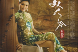 段银莹《琴牵美人吟 （紫银合金SQCD头版限量编号）》