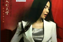 空谷幽兰的寂寞女声 散发出优雅与愁情《女人的天空》 [WAV/分轨/DTS/城通]