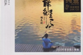 钟志刚《昨夜星辰》24K纯金头版限量编号版[WAV+CUE/城通]